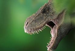 T-Rex'lerin kafataslarında klima işlevi gören delikler keşfedildi