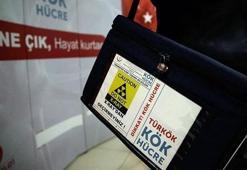 Türkiye ilik naklinde Avrupa'da ilk 5'te!