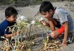 Güzelliğine kanıp koparmayın! Cezası 60 bin lira...