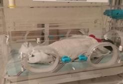 Çöp konteynerinde yeni doğmuş bebek bulundu!