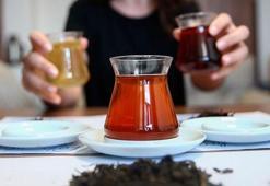 Türkiye'de ilk kez oolong çayı üretildi