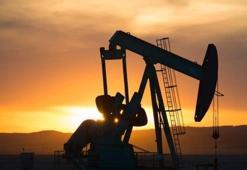 Brezilya'da 100 tondan fazla petrol sızıntısı şoku!