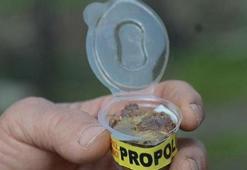 Piyasadaki propolisin yüzde 90'ı sahte!