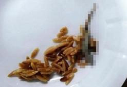 Hastanede skandal! Yemekten kertenkele çıktı
