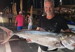 Marmaris’te 30 kiloluk Akya balığı görenleri şaşırttı