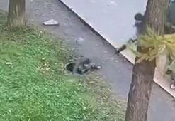 Küçük çocuk bir anda lağım çukuruna düştü!