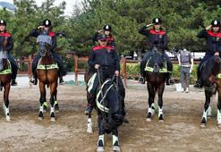 Başkent’in atlı polis birliklerine sıkı eğitim