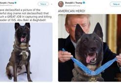 ABD Başkanı Trump'tan montajlı paylaşım