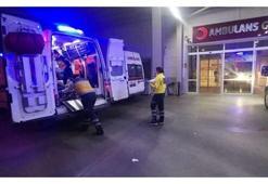 Dağdan topladılar, zehirlendiler