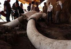 15 bin yıllık mamut tuzakları bulundu