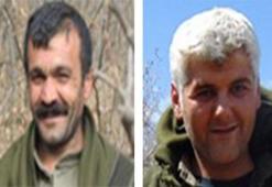 Terör örgütü PKK’ya  üst düzey darbe