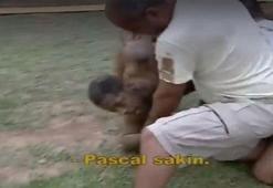 Babel'den Nouma'ya 'Pamuk şeker' cevabı!