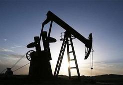 İran'da 53 milyar varil petrol rezervi keşfedildi