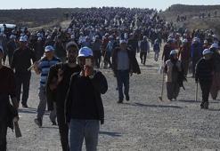 Çorum, 'fidan dikme etkinliğinde' dünya rekoru kırdı