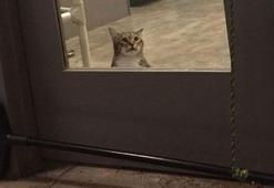 İşlediği suç yüzünden tecrit odasına konuldu