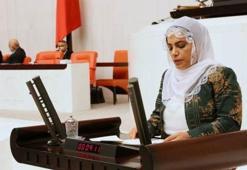 HDP'li Tosun'un oğlu terörden gözaltında!