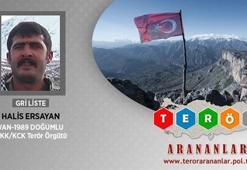 Halis Ersayan etkisiz hale getirildi