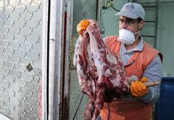 20 ton kaçak et ve sakatat ele geçirildi