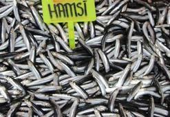 Hamsinin bol ve ucuz olması onları olumsuz etkiliyor!
