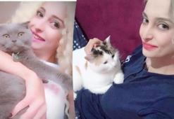Kedileri vahşice öldürüldü, eski sevgilisinden şikayetçi oldu