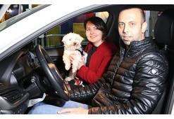 Köpeği otomobil kazandırdı!