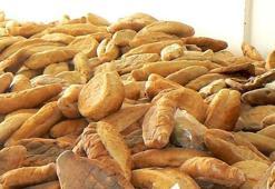 TMO: Bir günde 6 milyon ekmek israf ediliyor