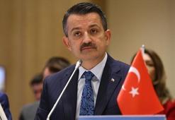 Bakan Pakdemirli: Sigarada standart paketin ana amacı caydırıcılığı artırmak