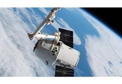 SpaceX bir ilke daha imza attı! 'Süper fareler' uzaya ulaştı