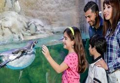 Türkiye'nin ilk ve tek sualtı hayvanat bahçesi Emaar’da!
