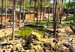 Park of İstanbul’da macera, eğlence ve keşif dolu saatler!