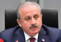 Meclis Başkanı Şentop: Ciddiye alınacak bir karar değil!