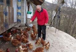 Mühendisliği bıraktı, tavuk çiftliği kurdu