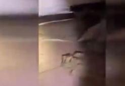 Terör örgütüne darbe! 2 yeni sığınak ele geçirildi