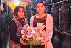 Devlet desteğiyle kurduğu mantar tesisiyle kendi işinin patronu oldu