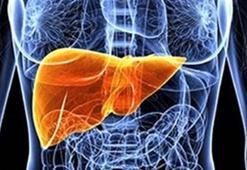 2020’ye sağlıklı bir karaciğerle girin!