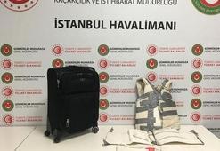 İstanbul Havalimanı'nda uyuşturucu operasyonu