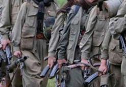 Bakanlık açıkladı: Bin 668 terörist öldürüldü