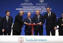 Tarihi gün! TürkAkım'da vanalar açıldı!
