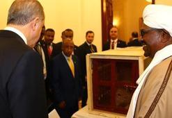 Cumhurbaşkanı Erdoğan'a hediye edilen aslanlar büyüdü