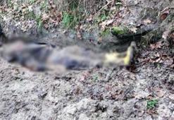 Kan donduran görüntü! Bu halde bulundu