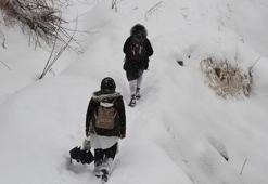 Van'ın 3 ilçesinde okullara kar tatili