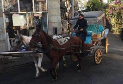 Adalar'daki faytonlarla ilgili flaş gelişme