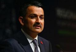 Bakan Pakdemirli açıkladı! Bugün hesaplara yatacak