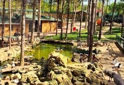 İstanbul’un doğa ve yaşam alanı Park Of İstanbul’da macera, eğlence bir arada!