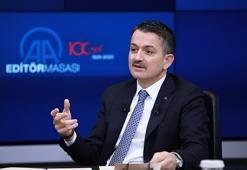 Bakan Pakdemirli duyurdu:Ödemeler bugün başlıyor!