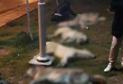 Ankara'daki vahşette flaş gelişme! 3 sanığa 10’ar yıl hapis