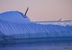 Geri sayım başladı! 4'üncü sefer...