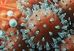 Fahrettin Koca’nın Türkiye’de Coronavirus salgını açıklaması! Koronavirüs/Coronavirüs nedir? Coronavirüs aşısı var mı?