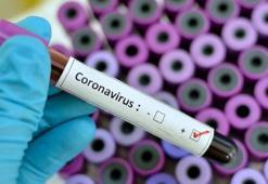 Koronavirüs ile ilgili o soru cevabını buldu