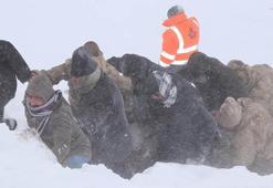 Van'daki çığ faciası ile ilgili soruşturma başlatıldı!